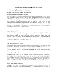 MANAGING the TOP FIVE INVASIVE PLANTS in CALVERT COUNTY 1. What Are the Top 5 Invasive Plants in Calvert County? Phragmites