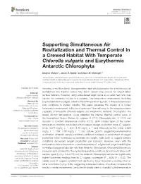 Supporting Simultaneous Air Revitalization and Thermal Control in a Crewed Habitat with Temperate Chlorella Vulgaris and Eurythermic Antarctic Chlorophyta