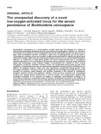 The Unexpected Discovery of a Novel Low-Oxygen-Activated Locus for the Anoxic Persistence of Burkholderia Cenocepacia