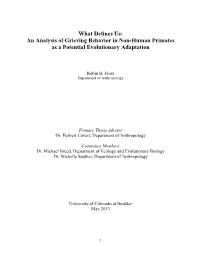 What Defines Us: an Analysis of Grieving Behavior in Non-Human Primates As a Potential Evolutionary Adaptation