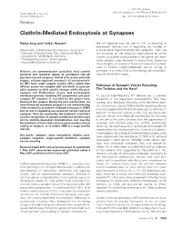 Clathrin-Mediated Endocytosis at Synapses