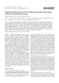 Isolation and Characterization of Novel Sulfate-Reducing Bacterium Capable of Anaerobic Degradation of P-Xylene