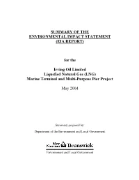 Summary of the Environmental Impact Statement (Eia Report)