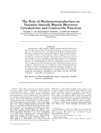 The Role of Mechanotransduction on Vascular Smooth Muscle Myocytes Cytoskeleton and Contractile Function