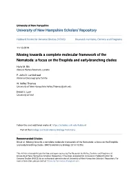 A Focus on the Enoplida and Early-Branching Clades