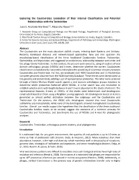 Exploring the Caudovirales: Evaluation of Their Internal Classification and Potential Relationships with the Tectiviridae Juan S