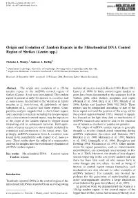 Origin and Evolution of Tandem Repeats in the Mitochondrial DNA Control Region of Shrikes (Lanius Spp.)
