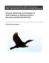 Research, Monitoring, and Evaluation of Avian Predation on Salmonid Smolts in the Lower and Mid‐Columbia River