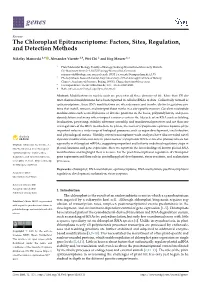 The Chloroplast Epitranscriptome: Factors, Sites, Regulation, and Detection Methods