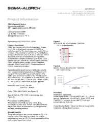 CDK2/Cyclin A2 Active Human, Recombinant GST Tagged, Expressed in Sf9 Cells