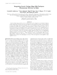Integrating Genetic Linkage Maps with Pachytene Chromosome Structure in Maize