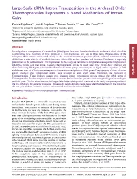 Large-Scale Trna Intron Transposition in The