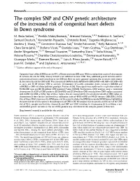 The Complex SNP and CNV Genetic Architecture of the Increased Risk of Congenital Heart Defects in Down Syndrome
