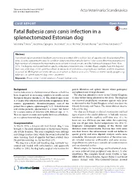 Fatal Babesia Canis Canis Infection in a Splenectomized Estonian