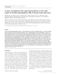 A Close Correlation in the Expression Patterns of Af-6 and Usp9x in Sertoli and Granulosa Cells of Mouse Testis and Ovary