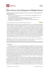Role of Viruses in the Pathogenesis of Multiple Sclerosis