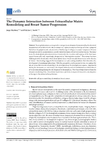 The Dynamic Interaction Between Extracellular Matrix Remodeling and Breast Tumor Progression