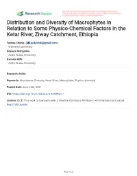 Distribution and Diversity of Macrophytes in Relation to Some Physico-Chemical Factors in the Ketar River, Ziway Catchment, Ethiopia