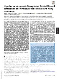 Liquid Network Connectivity Regulates the Stability and Composition Of