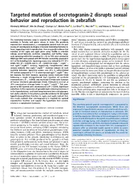 Targeted Mutation of Secretogranin-2 Disrupts Sexual Behavior and Reproduction in Zebrafish