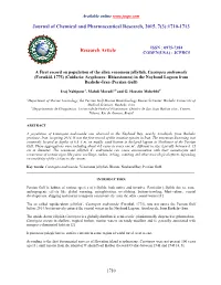 A First Record on Population of the Alien Venomous Jellyfish