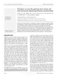 Formation of Virus-Like Particles from Human Cell Lines Exclusively Expressing Influenza Neuraminidase