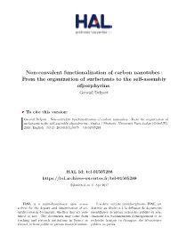 Non-Convalent Functionalization of Carbon Nanotubes : from the Organization of Surfactants to the Self-Assembly Ofporphyrins