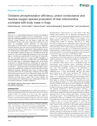 Oxidative Phosphorylation Efficiency, Proton