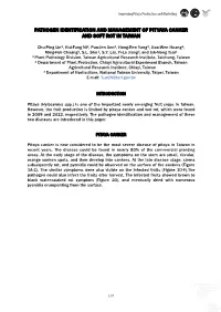 Pathogen Identification and Management of Pityaya Canker and Soft Rot in Taiwan