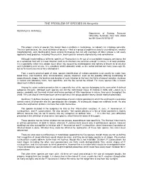 THE PROBLEM of SPECIES in Novyella