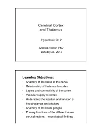 Cortex and Thalamus Lecture.Pptx