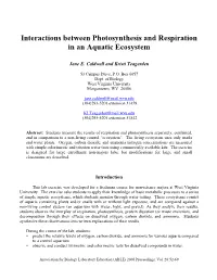 Interactions Between Photosynthesis and Respiration in an Aquatic Ecosystem