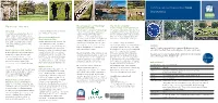 Stonesfield (AONB Step 3)