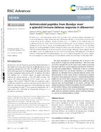 View PDF Version