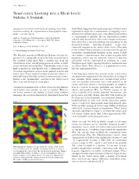 Visual Cortex: Looking Into a Klein Bottle Nicholas V