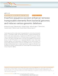 Insertion Sequence-Excision Enhancer Removes Transposable Elements from Bacterial Genomes and Induces Various Genomic Deletions
