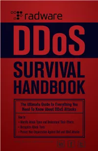 The Ultimate Guide to Everything You Need to Know About Ddos Attacks