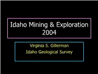 Idaho Mining & Exploration 2004