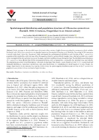 Spatiotemporal Distribution and Population Structure of Clibanarius Symmetricus (Randall, 1840) (Crustacea, Diogenidae) in an Amazon Estuary