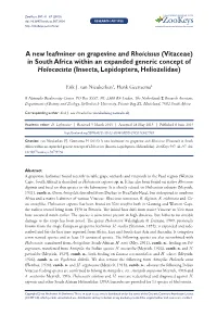 ﻿A New Leafminer on Grapevine and Rhoicissus (Vitaceae) in South