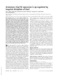 Aromatase (Cyp19) Expression Is Up-Regulated by Targeted Disruption of Dax1