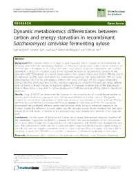 Dynamic Metabolomics Differentiates Between Carbon and Energy