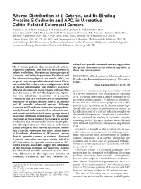 Altered Distribution of ß-Catenin, and Its Binding Proteins E-Cadherin And