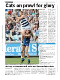Geelong Faces Nervous Wait As Forward Johnson Injures Knee
