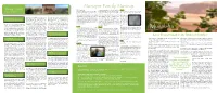 Spring 2010 Newsletter