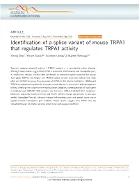 Identification of a Splice Variant of Mouse TRPA1 That Regulates