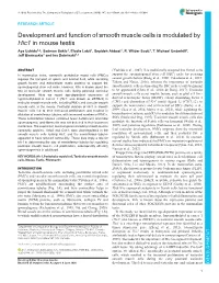 Development and Function of Smooth Muscle Cells Is Modulated by Hic1 in Mouse Testis Aya Uchida1,2, Sadman Sakib1, Elodie Labit1, Sepideh Abbasi1, R