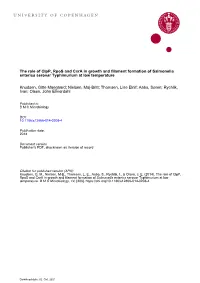 The Role of Clpp, Rpos and Csra in Growth and Filament Formation of Salmonella Enterica Serovar Typhimurium at Low Temperature