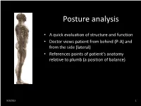 Basic Biomechanics
