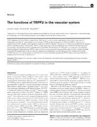 The Functions of TRPP2 in the Vascular System